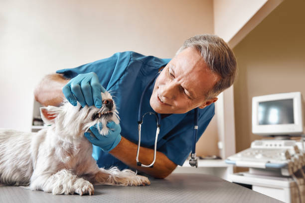 Best Emergency Dental Surgery in Flint, MI